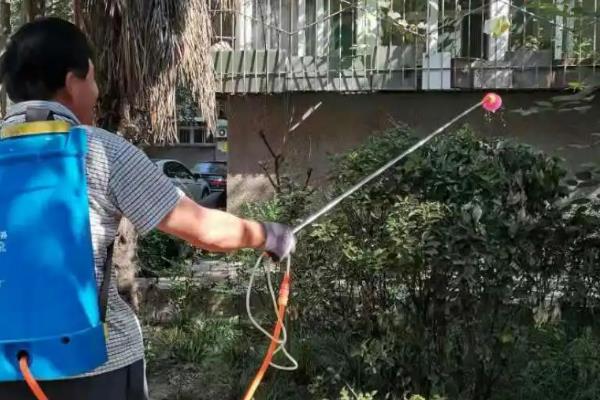 水溶肥的分类，分为大量元素、重量元素和功能性水溶肥