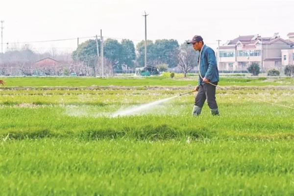 微生物农药怎么使用，需把握湿度并防止强光