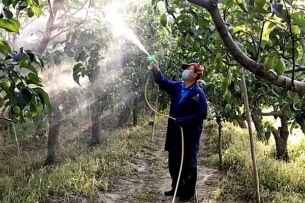 己唑醇和戊唑醇的区别，理化性质、使用效果、安全性均不同