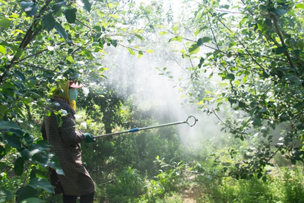 己唑醇和戊唑醇的区别，理化性质、使用效果、安全性均不同
