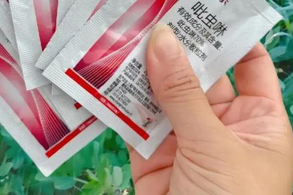 修剪石楠树的时间，可在3月、6月、9月进行