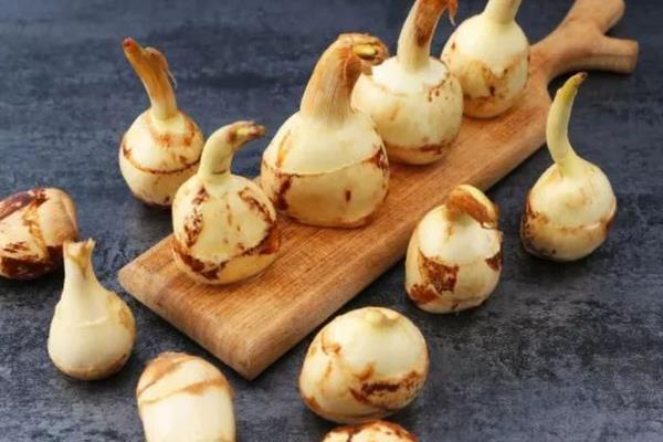 水生蔬菜种类，常见的有水蕨、莲藕、茭白等