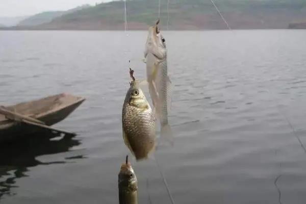 溪流钩适合什么环境下使用，适合野钓环境