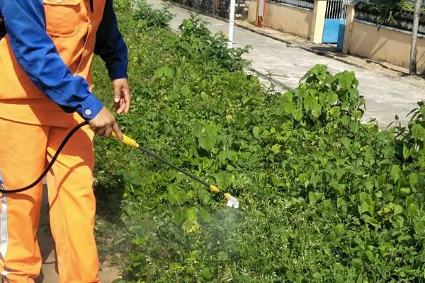 除草剂的种类，常见的有苯氧羧酸类、苯甲酸类等