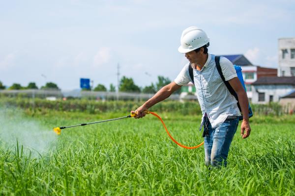 除草剂的种类，常见的有苯氧羧酸类、苯甲酸类等