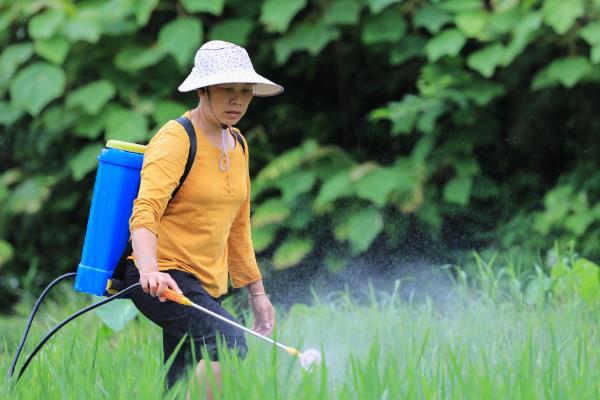除草剂的种类，常见的有苯氧羧酸类、苯甲酸类等