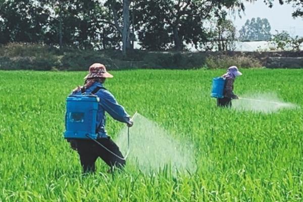除草剂的种类，常见的有苯氧羧酸类、苯甲酸类等