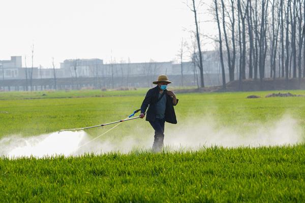 除草剂的种类，常见的有苯氧羧酸类、苯甲酸类等