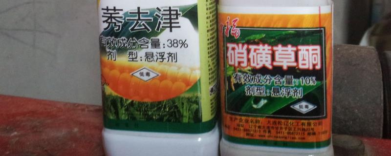 硝磺草酮有什么作用，可防治主要的阔叶草和一些禾本科杂草