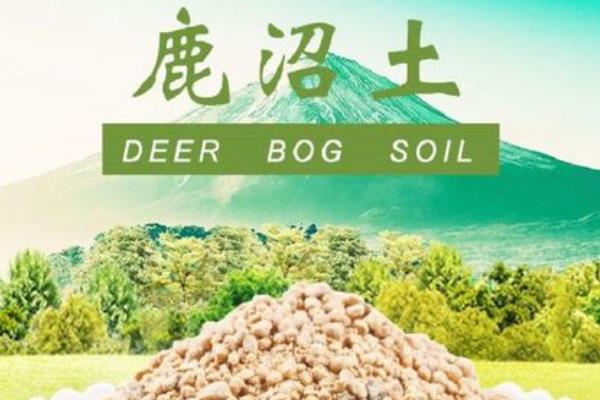 鹿沼土和赤玉土有什么区别，软硬度、性质、用处均不同