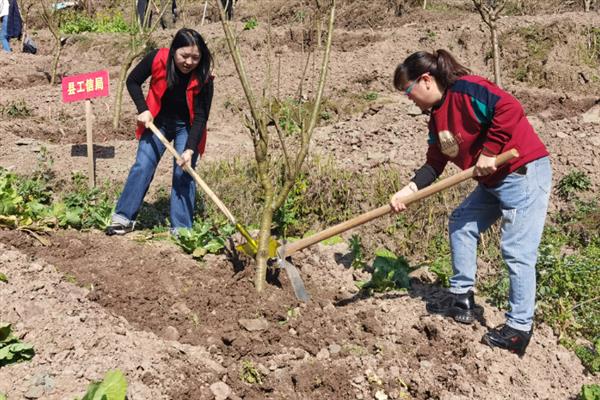 植树有什么好处，可净化空气、防沙固沙