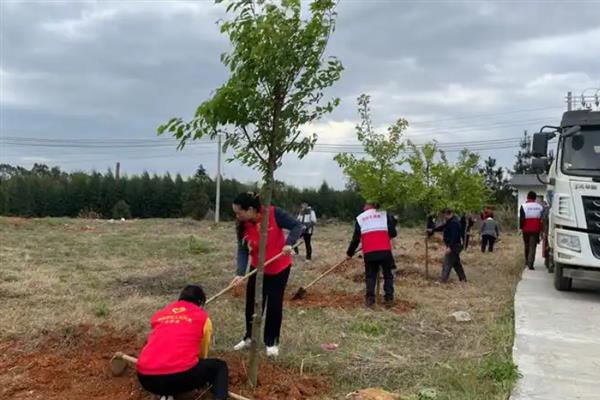植树有什么好处，可净化空气、防沙固沙
