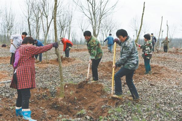 植树有什么好处，可净化空气、防沙固沙
