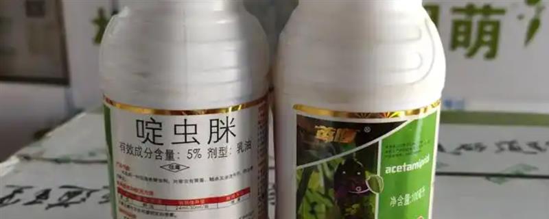 啶虫脒专杀哪些虫，主要可以防治半翅目害虫