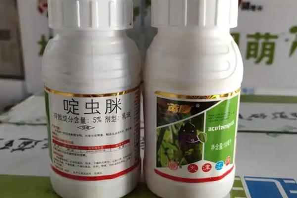 啶虫脒专杀哪些虫，主要可以防治半翅目害虫
