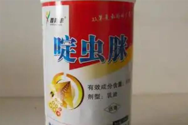 啶虫脒专杀哪些虫，主要可以防治半翅目害虫