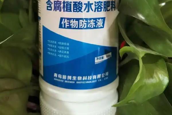 北方上冻后植物还能不能浇水，不建议再浇水