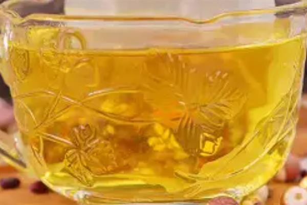 怎么吃红豆杉果子，可以做汤也可以煎水等