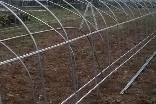 冬春季节棚室蔬菜怎么保温，可采取多层覆膜等措施