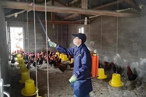 养鸡所需设备，育雏、饮水、饲喂设备均要准备好