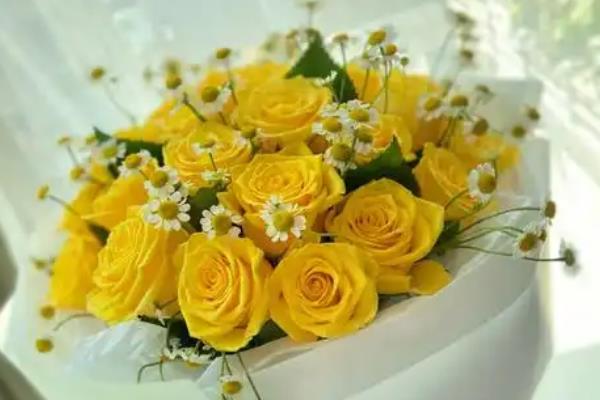 黄玫瑰搭配小雏菊的含义，代表永远快乐、浓烈爱情、坚强勇敢