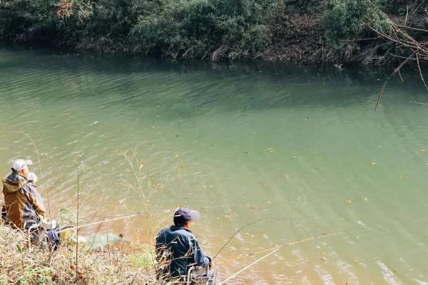 怎么钓白条，在浅水区、浮游生物较多的区域垂钓可增加成功率
