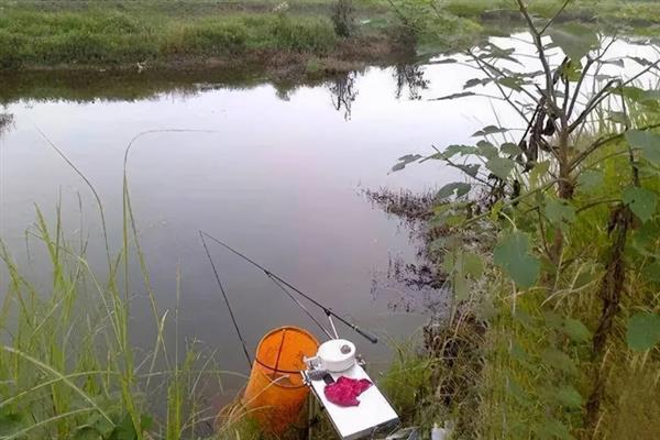 怎么钓白条，在浅水区、浮游生物较多的区域垂钓可增加成功率
