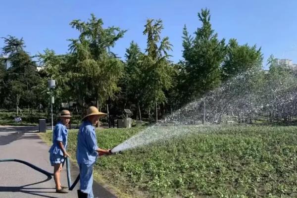 福禄考怎么种植，用高锰酸钾溶液浸种后再晾干播种