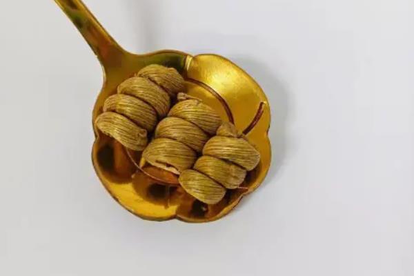 如何选择石斛，茎部呈圆柱形且柔软的铁皮石斛比较好