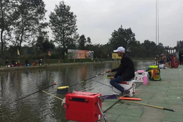 黑坑钓鱼要打窝吗，提前打窝效果好