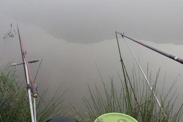 初秋钓浅水还是深水，大部分情况要钓深