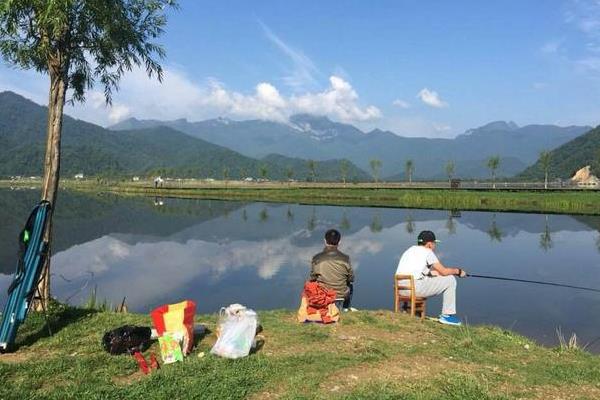 初秋钓浅水还是深水，大部分情况要钓深