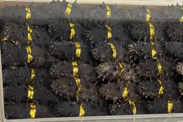 干海参的保存方法，主要有以下3种方式