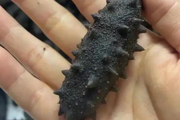 干海参的保存方法，主要有以下3种方式