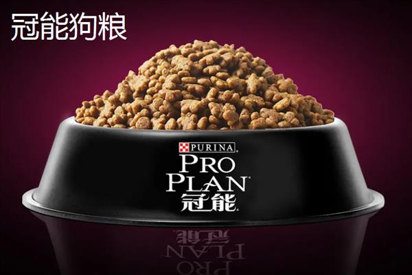 中型犬适合吃什么狗粮，推荐冠能、皇家等