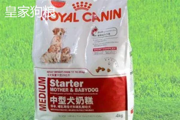 中型犬适合吃什么狗粮，推荐冠能、皇家等
