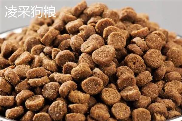 中型犬适合吃什么狗粮，推荐冠能、皇家等
