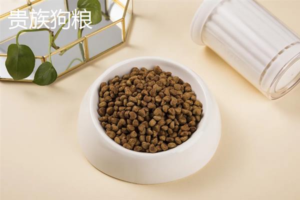 中型犬适合吃什么狗粮，推荐冠能、皇家等