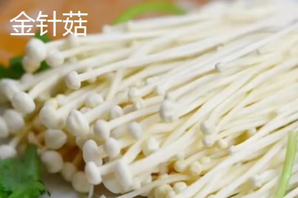海鲜菇的收获时间，在秋季九月开始收获
