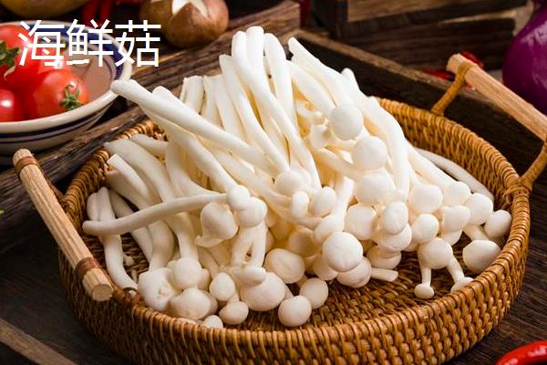 海鲜菇的收获时间，在秋季九月开始收获