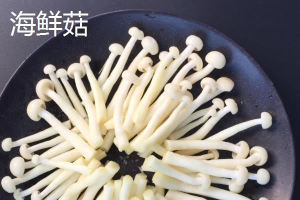 海鲜菇的收获时间，在秋季九月开始收获