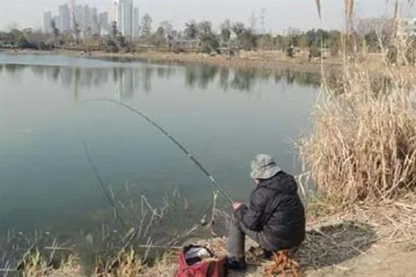 立冬后降温当天好钓鱼吗，立冬后降温当天不好钓鱼