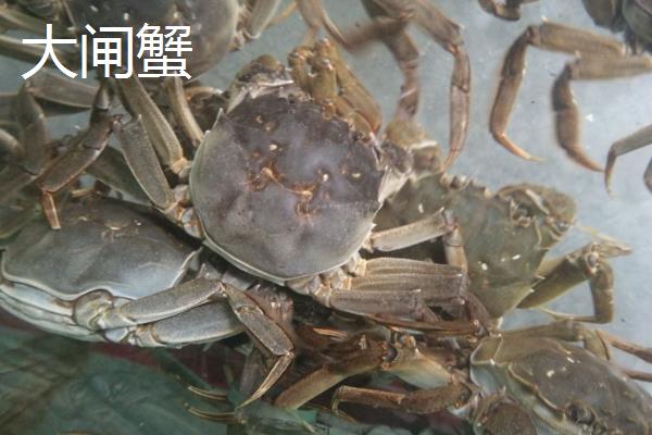 稻田蟹的产地，各地的稻田均有分布