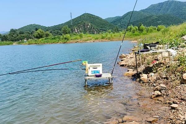 哪个季节适合用天下鲤，以早春、深秋、冬季为宜