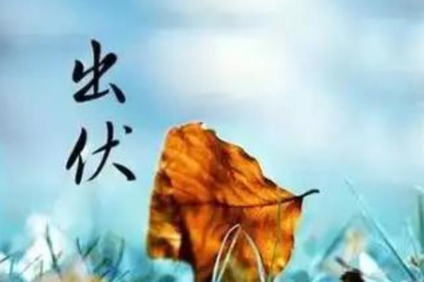 夏至三庚数头伏是什么意思，意思是入伏的确立时间