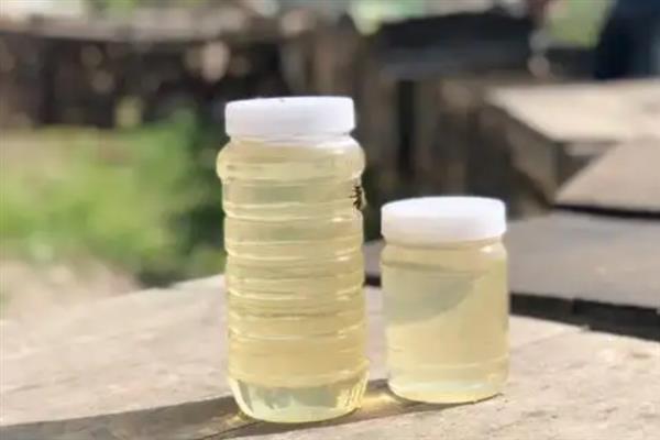 槐花蜜怎么辨别真假，可以从颜色、气味和口感等方面辨别