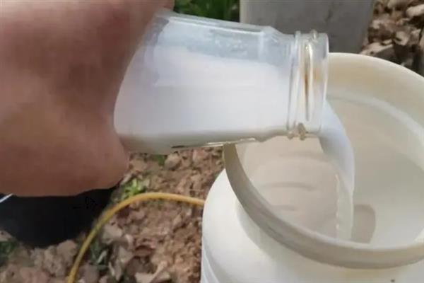 多菌灵能和杀虫农药能混合使用吗，二者可以混用