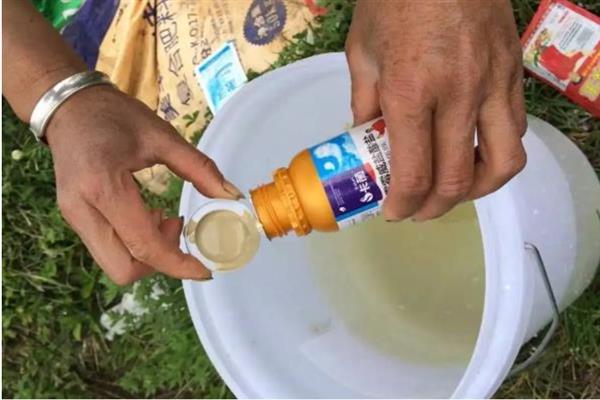 多菌灵能和杀虫农药能混合使用吗，二者可以混用