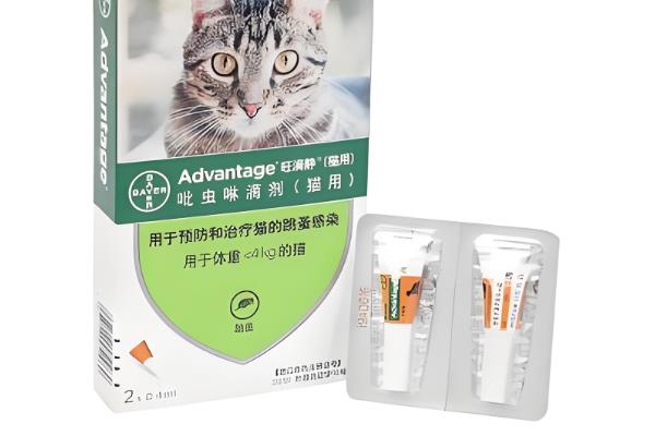 猫身上的跳蚤怎么祛除，可定期使用防治跳蚤的药品