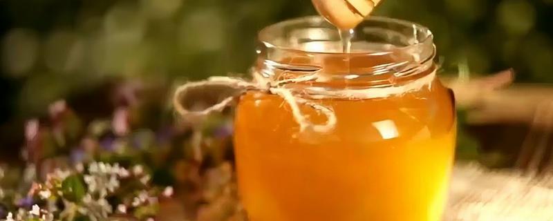 蜂蜜的种类，常见的有冬蜜、龙眼蜜等